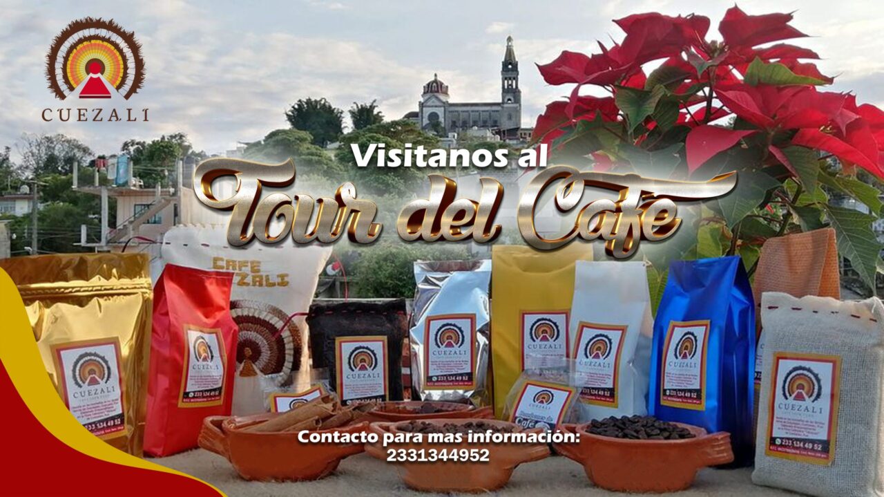 Detalle de grano y taza